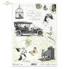 automobile, vintage car, motorist, birdcage, moth, butterfly, stamps, postage stamps, retro, vintage